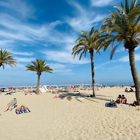 Center Apartment Alicante